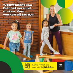 Nienke van der meer post 2